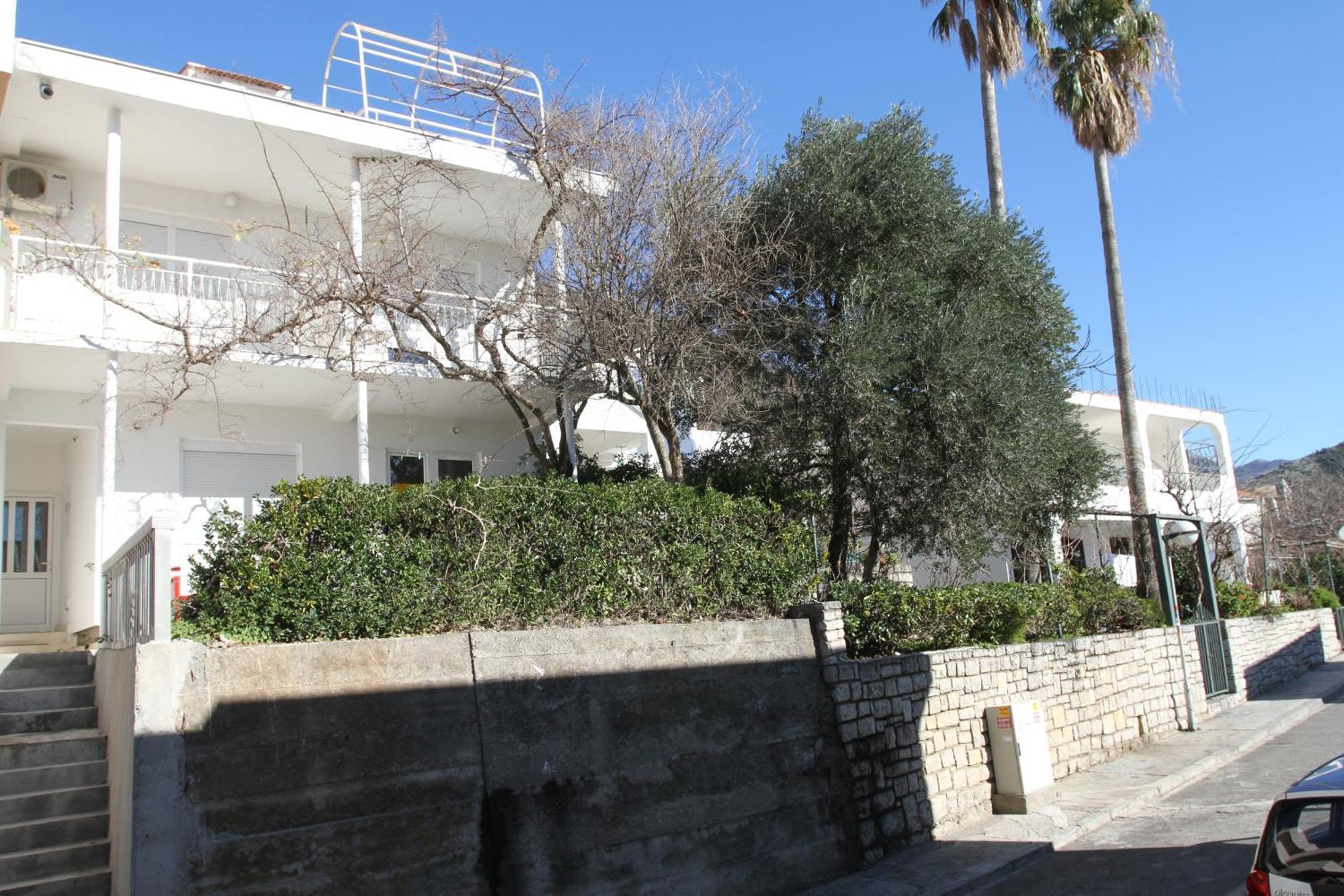 Apartments Popovic Petrovac Zewnętrze zdjęcie